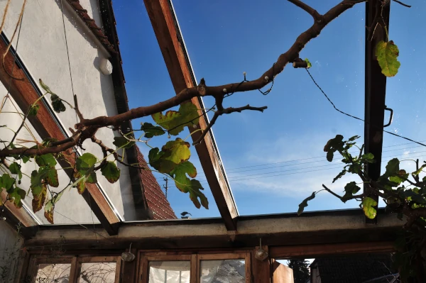 Nachher - Gereinigtes Wintergartendach